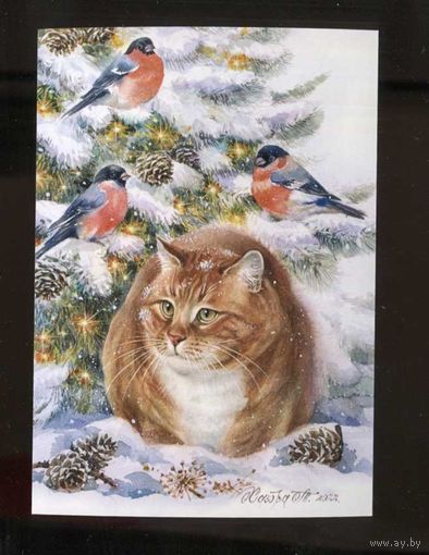 Открытка. Фауна. Животные. Рыжий Кот и снегири. Коты. Котики. Птицы. Зима. Ёлочка. Худ. Т.Хазова (чистая)