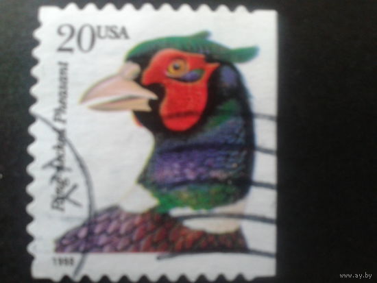 США 1998 стандарт, птица