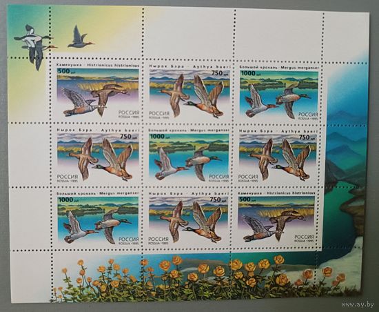 Утки. Фауна. Россия, 1995, лист