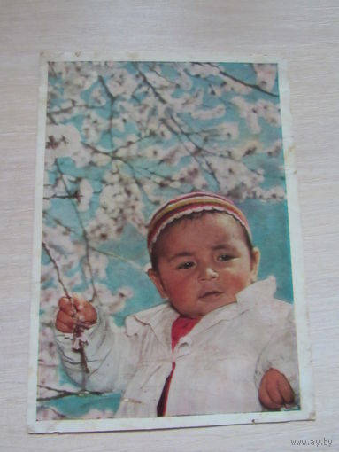 Его первая весна. Фото Г.А. Зельма. 1959