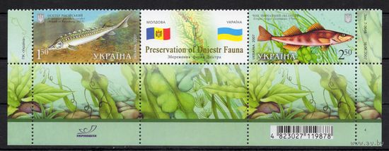 Украина 2007. Фауна Днестра.Рыбы. Совместный выпуск Украина-Молдова 2марки+купон (451)
