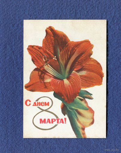 Удин Е., Ананьины С Днем 8 Марта! 1965г. Беларусь Чистая