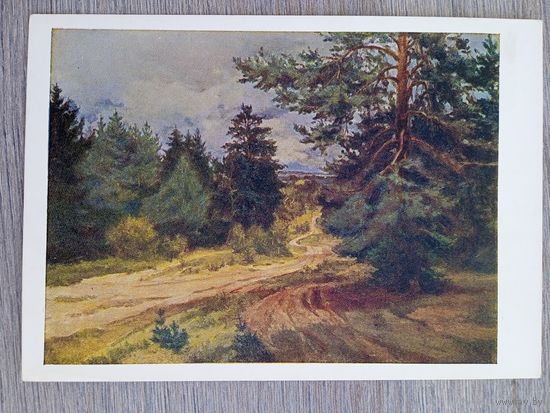 1956. Зайцев (Беларусь). Лесная дорога