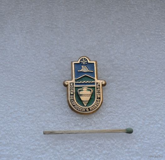 Музей Белорусского полесья. Мозырь.