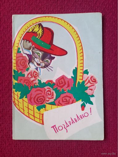 Поздравляю! Бродовский. Двойная.