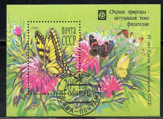 Охрана природы СССР 1991 год (6291) 1 гашенный блок