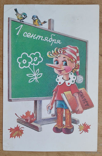 Жебелев А. 1 сентября. 1985 г. Чистая