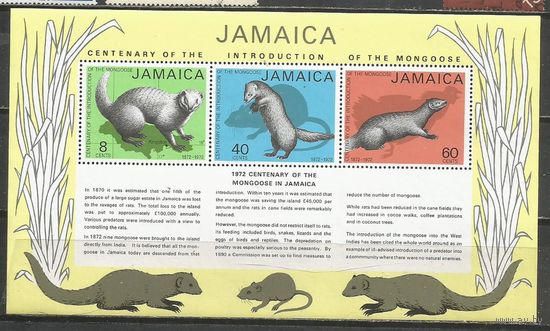 Ямайка. 100 лет появления мангуста на острове. 1973г. Mi#Бл4.