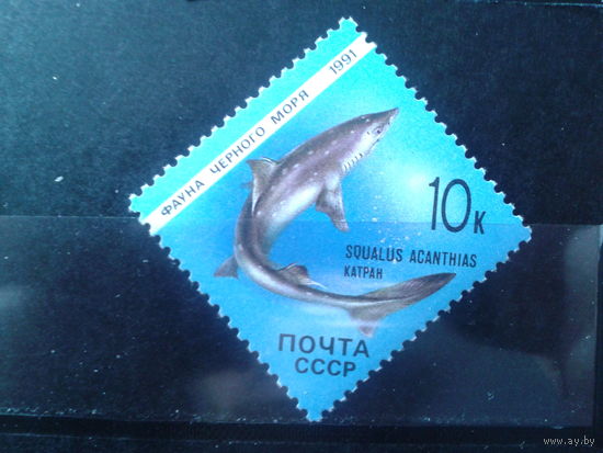 1991 Рыба**