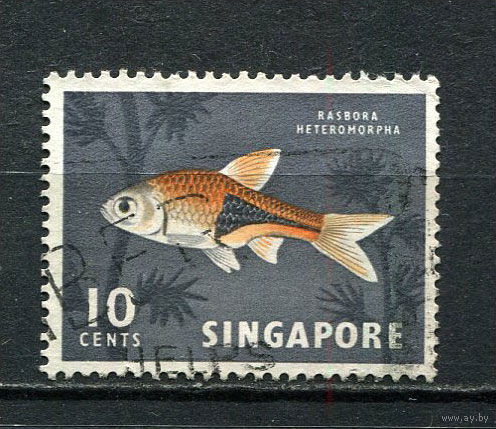 Сингапур - 1962/1967 - Рыбка 10C - [Mi.59X] - 1 марка. Гашеная.  (Лот 14HT)-TG3P15