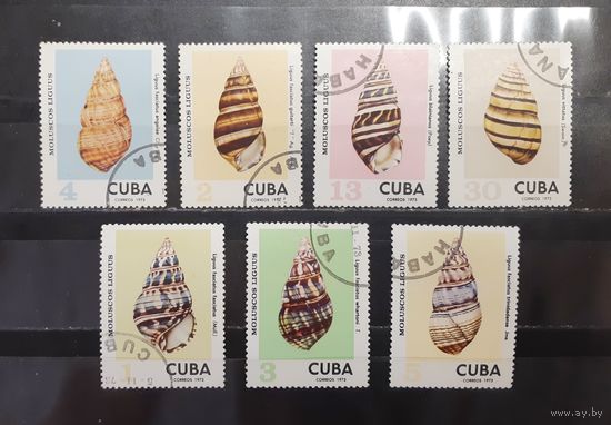 Куба. 1973 год. Фауна. Ракушки (1262)