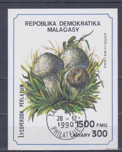 [1826] Мадагаскар 1990. Грибы. Гашеный блок.