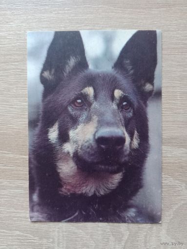 Календарик 1992