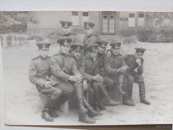 Фото в коллекцию