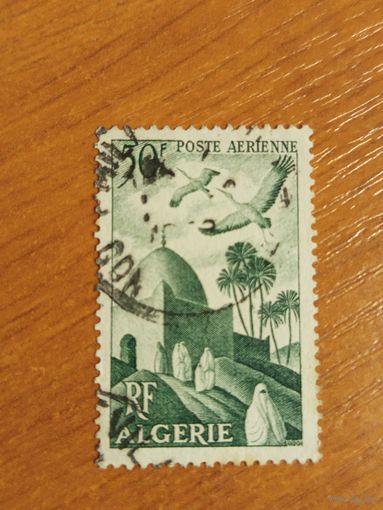 1949 Французская колония Алжир фауна птицы архитектура (4-4)