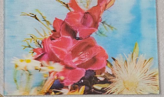 Стерео открытка