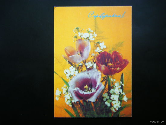 Открытка 1992г. из СССР.