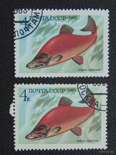 СССР 1983 г. Красная нерка.