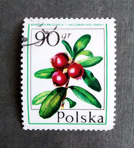 Польша 1977 год Ягоды