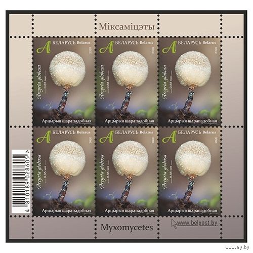 2020г Беларусь MNH  Малый лист "Арцирия шаровидная"