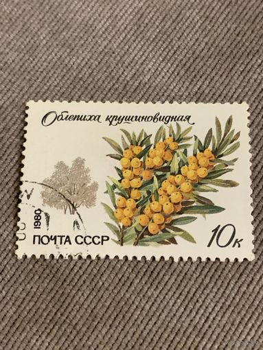 СССР 1980. Облепиха крушиновидная. Марка из серии