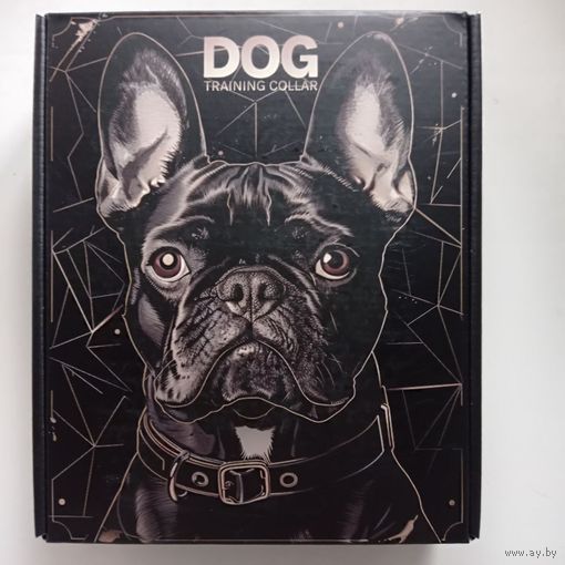 Ошейник для дрессировки собак