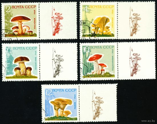 Грибы СССР 1964 год серия из 5 марок с купонами (с лаковым покрытием)