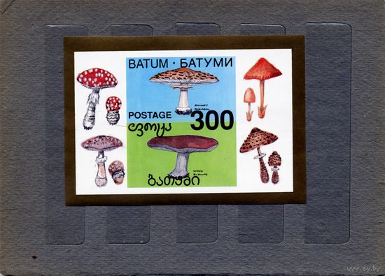 БАТУМИ  блок грибы **