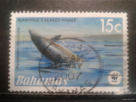 Багамы, 2007. Дельфин клюворыл, WWF