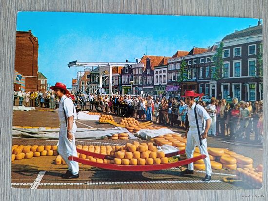 Этнография. Нидерланды, Алкмар. Сырный рынок