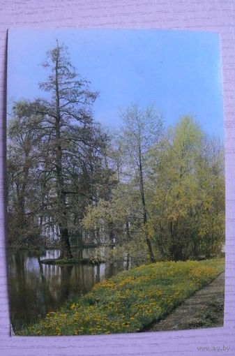 Природа; подписана, Германия, п/п, марки.