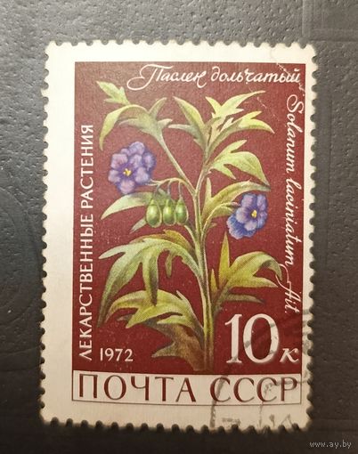 Марка СССР 1972 Лекарственные растения. Паслен. В дар к любому лоту с оплатой