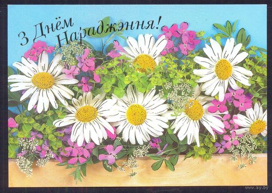 Беларусь 2003 ДМПК С днём рождения