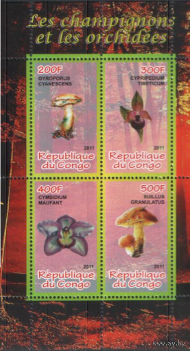 Грибы и орхидеи 4,  ПБ**