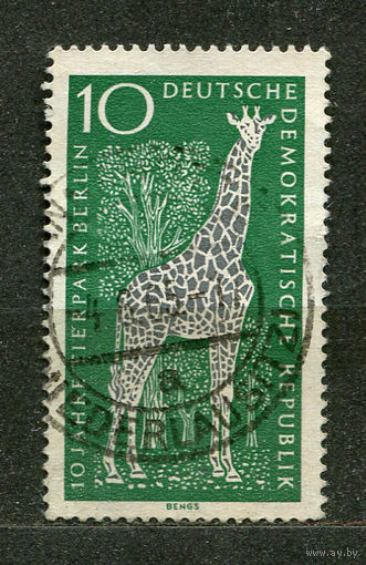 Фауна. Жираф. ГДР. 1965