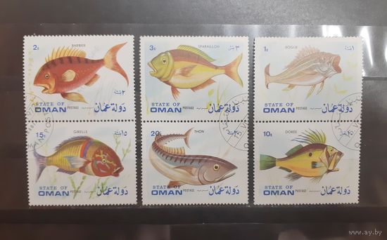Оман. Фауна. Рыбы (3 сцепки) (881)