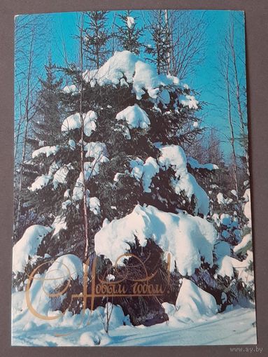 Чистая. С Новым Годом! Матанов 1980 г.