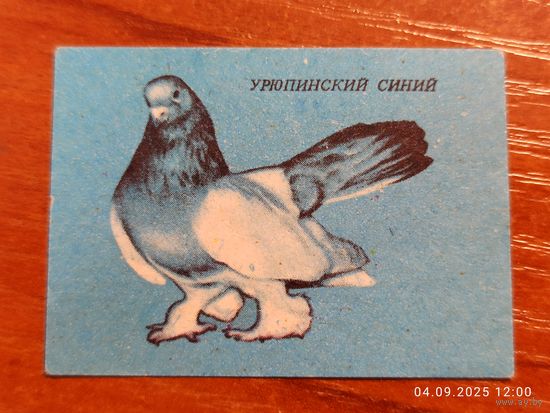 Спичечная этикетка Урюпинский синий голубь