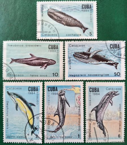 Куба 1984. Киты и дельфины