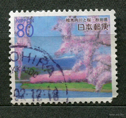 Цветение вишни. Префектура Акита. Япония. 2000