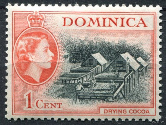 Доминика 1954 ** Производство какао