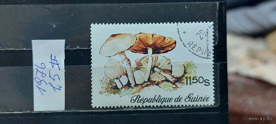 РАСПРОДАЖА ГВИНЕЯ 1976г. Гаш.