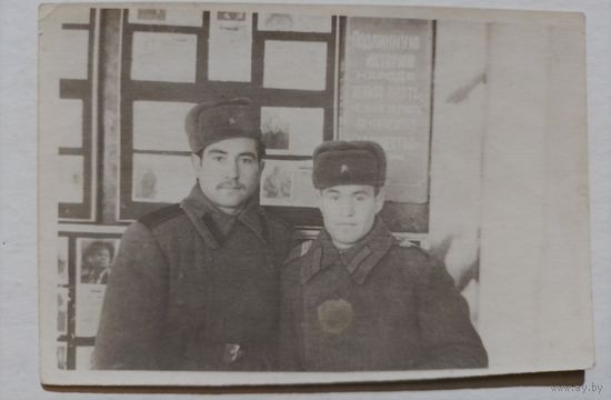 Фото в коллекцию