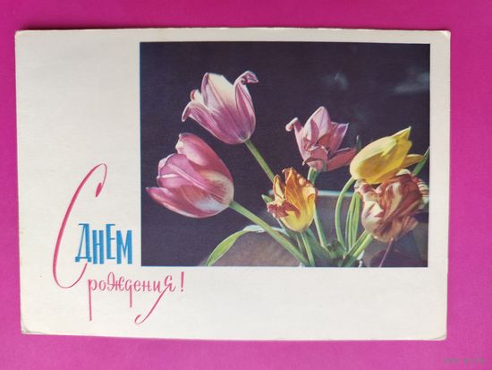 С днём рождения! Подписанная. 1965 года. Заикин. 1569.