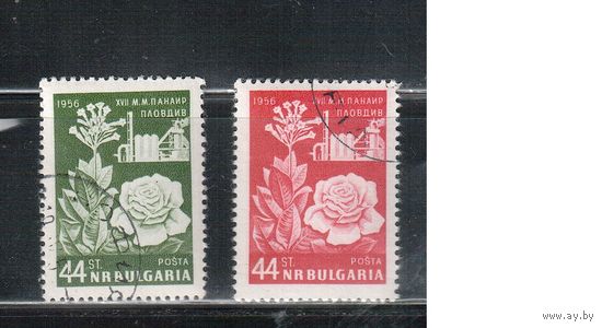 Болгария-1956, (Мих.994-995) , гаш.,  Роза, Табак (полная серия)(1)