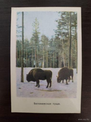 Календарик Беловежская пуща 1971г
