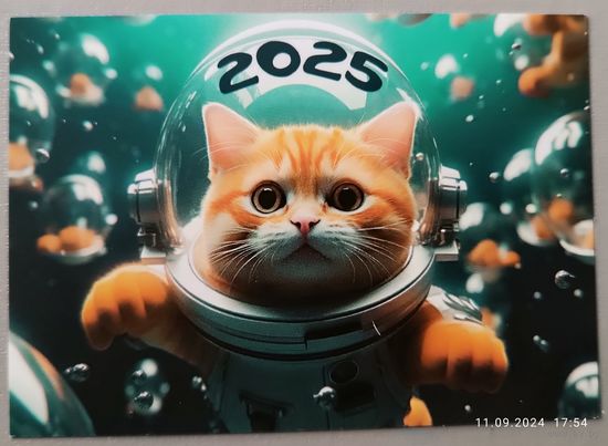 Кот. Календарик, 2025