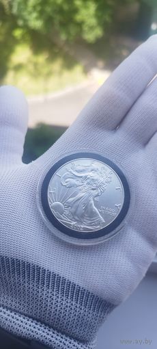 Монета шагающая свобода 2002Шагающая свобода 2002 унция серебра (1 oz)