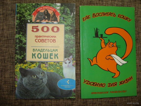 Книга "500 практических советов владельцам кошек"