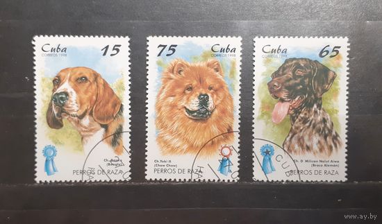 Куба. 1998 год. Фауна. Собаки (804)